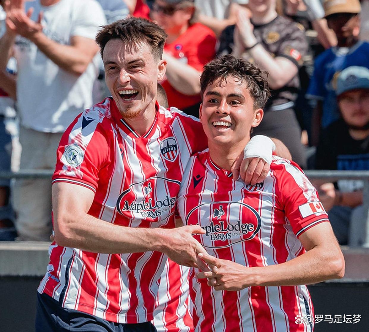 刚刚！多伦多猛龙临场应变备战葡超休斯敦火箭迎法国杯关键赛，风云突变马德里竞技集结日调整名单的简单介绍